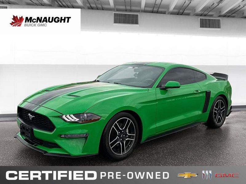 2019 Ford Mustang