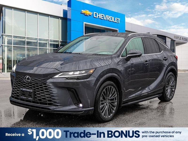 2025 Lexus RX
