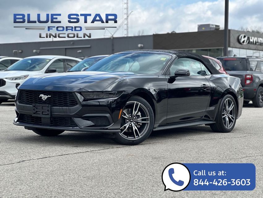 2025 Ford Mustang