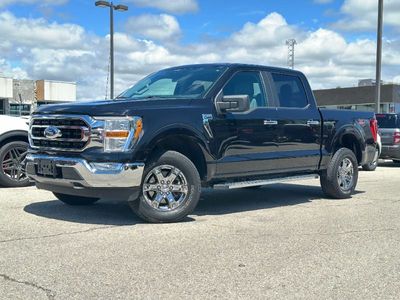 Used 2021 Ford F-150 XLT D29148