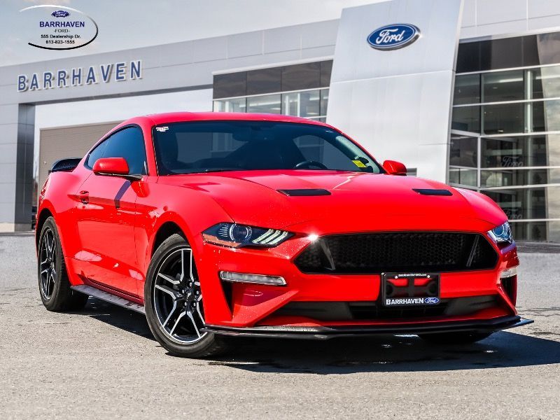 2019 Ford Mustang