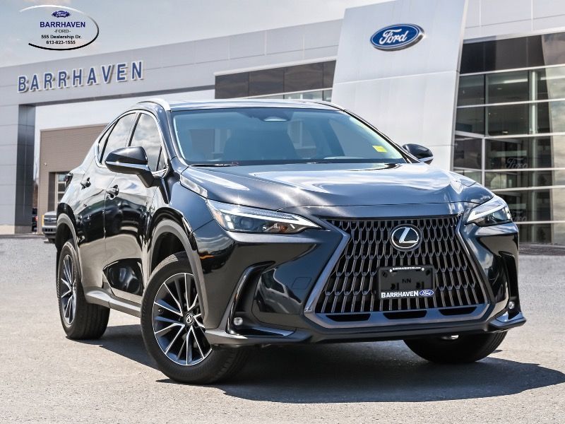 2022 Lexus NX