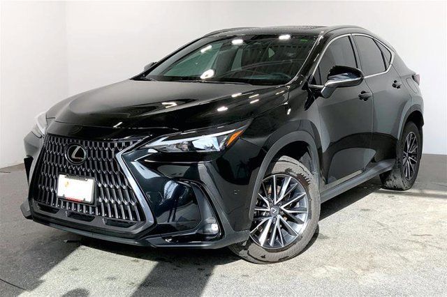 2024 Lexus NX