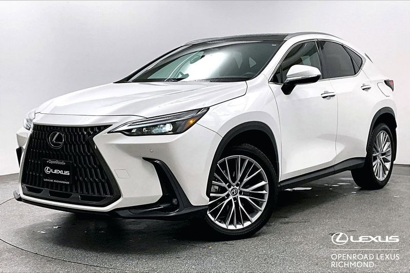2024 Lexus NX