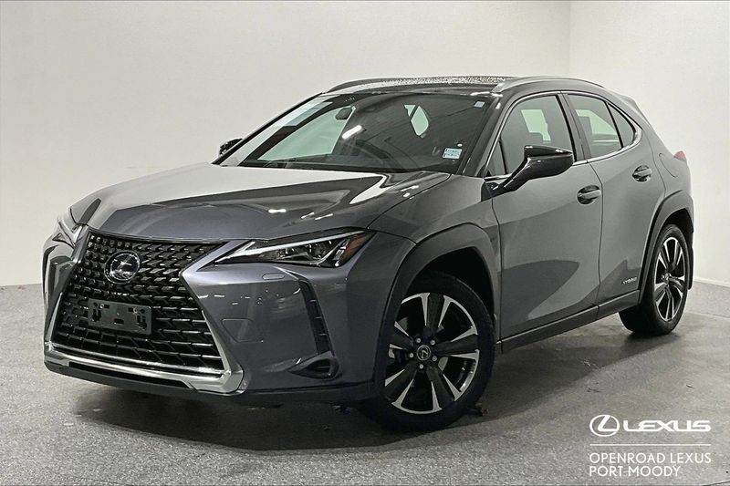 2020 Lexus UX