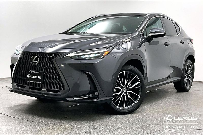 2024 Lexus NX