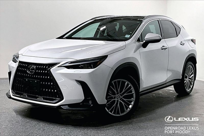 2024 Lexus NX