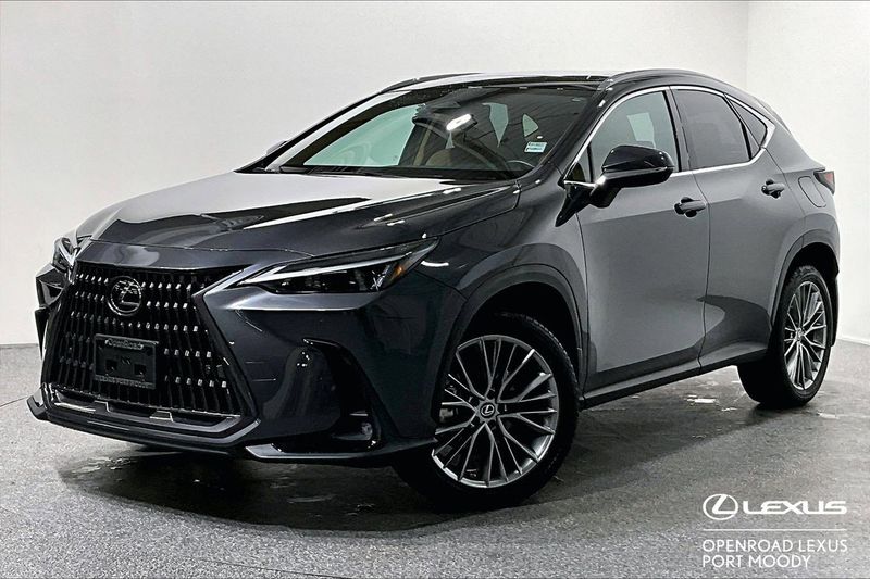 2022 Lexus NX