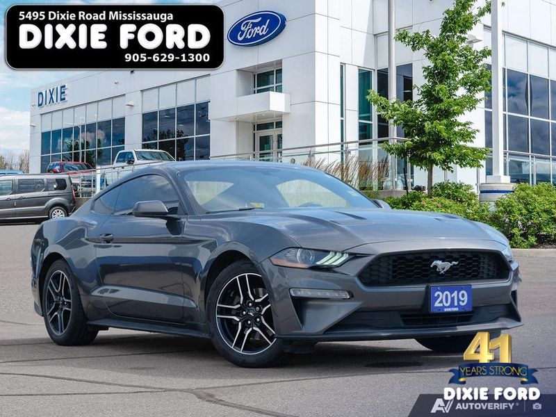 2019 Ford Mustang