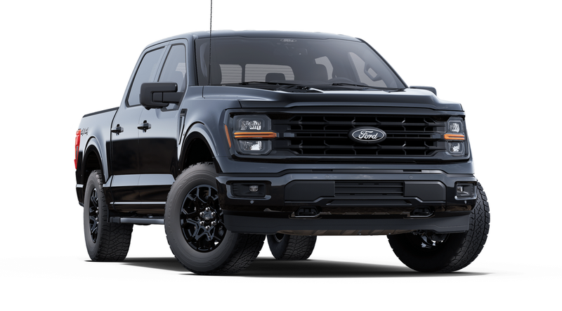 New 2025 Ford F-150 XLT SFB09077