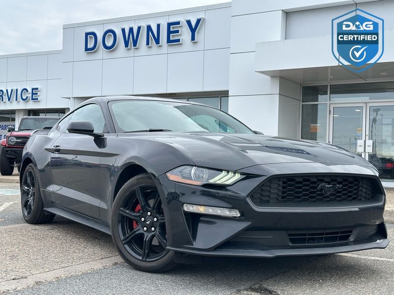 2019 Ford Mustang
