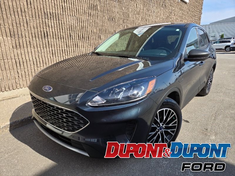 2022 Ford Escape