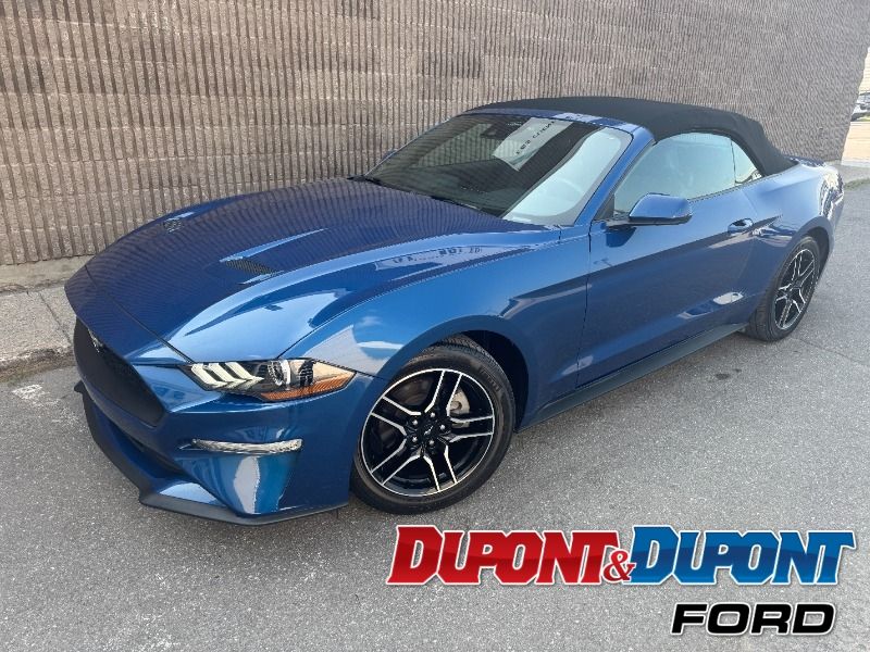 2023 Ford Mustang