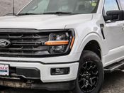 New 2025 Ford F-150 XLT 042S