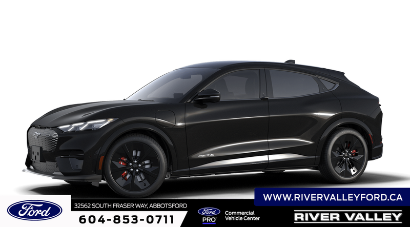 2025 Ford Mustang Mach-E