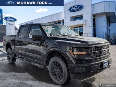 New 2025 Ford F-150 XLT 023406