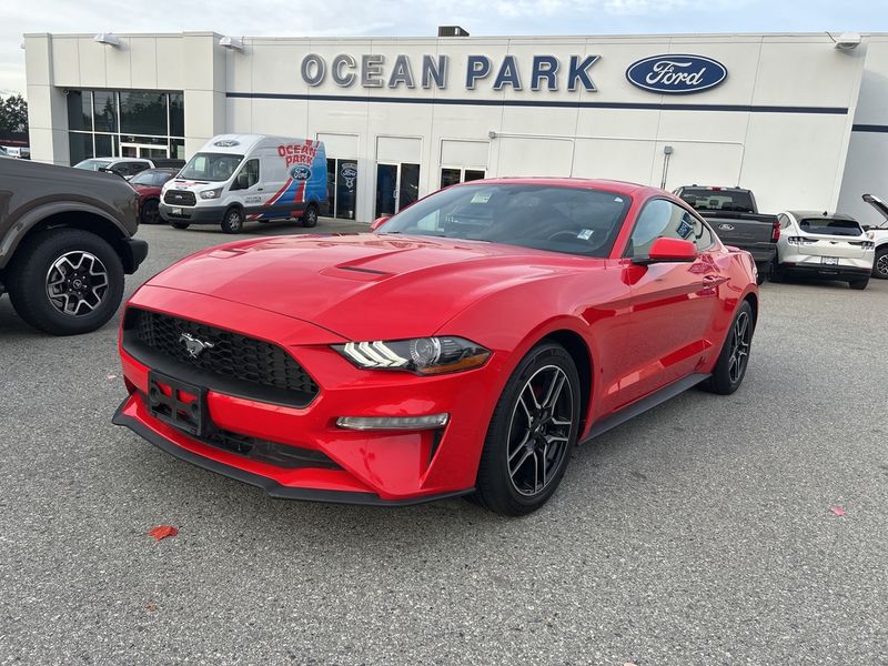 2019 Ford Mustang