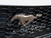 New 2025 Ford Mustang GT-Premium-Fastback 6210M5