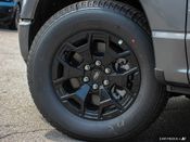 New 2025 Ford F-150-Lightning XLT 7111L51