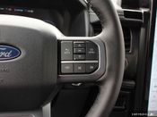 New 2025 Ford F-150-Lightning Flash 7209L51