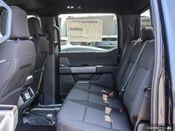New 2025 Ford F-150 XLT 7253L51