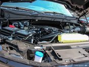 New 2025 Ford F-150 XLT 7253L51