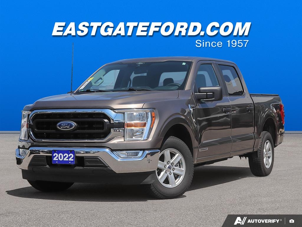 Gray (Stone Grey Metallic) 2022 Ford F-150 Pickup Truck 4X2