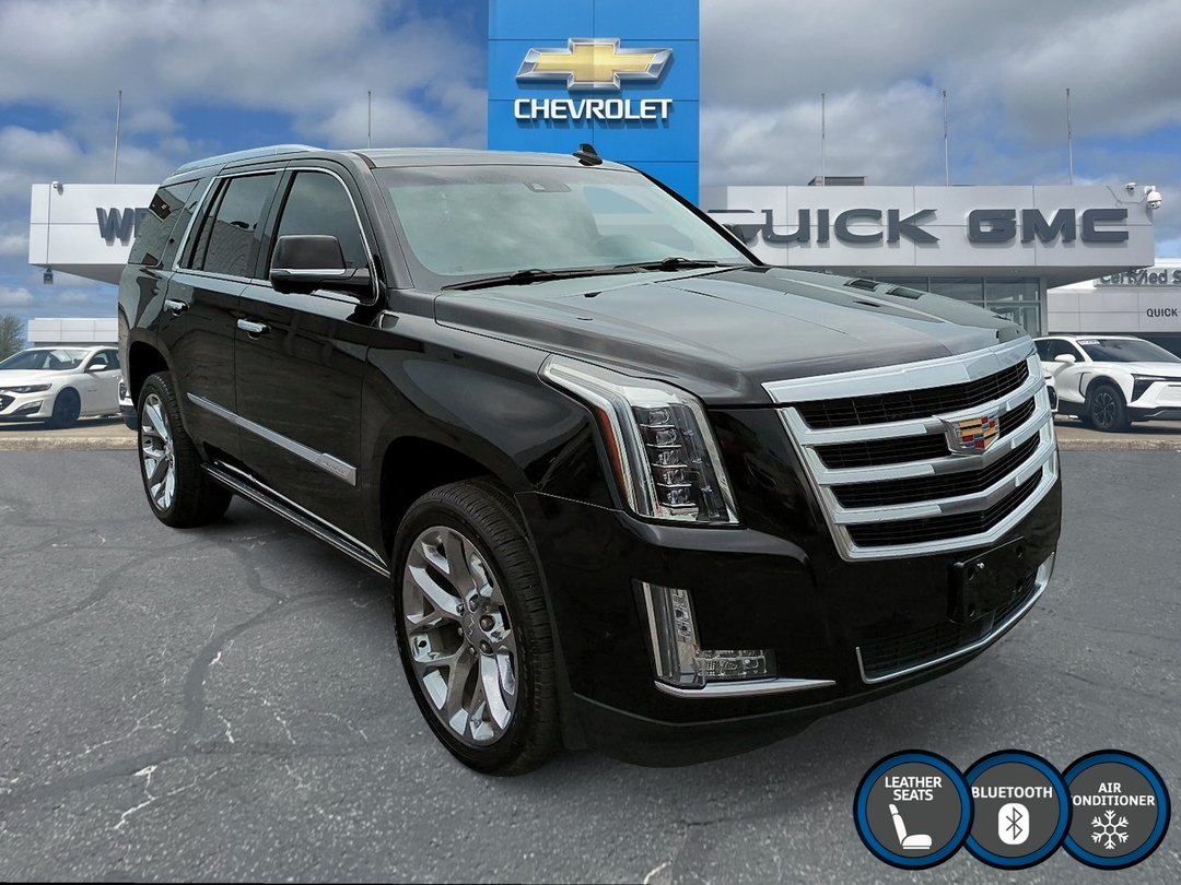 2019 CADILLAC ESCALADE PREMIUM LUXURY photo 3