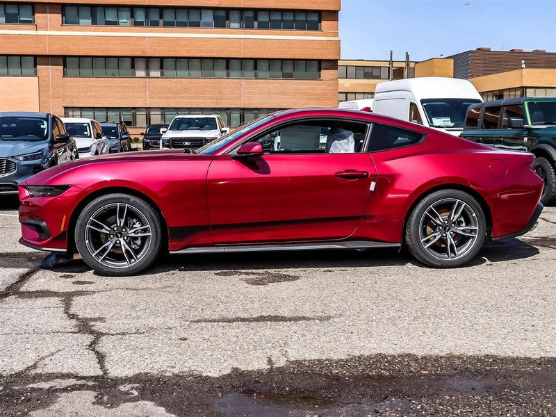 New 2025 Ford Mustang EcoBoost YN11352