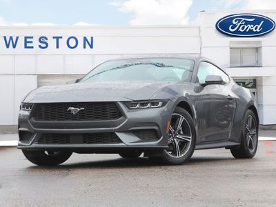 New 2025 Ford Mustang EcoBoost Fastback M25184