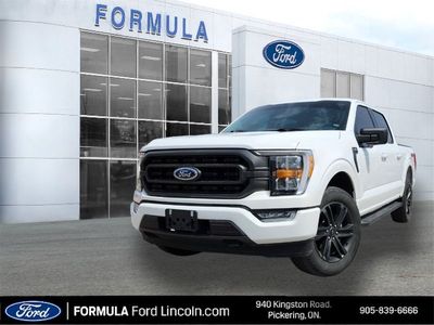 Used 2021 Ford F-150 XL FP6389