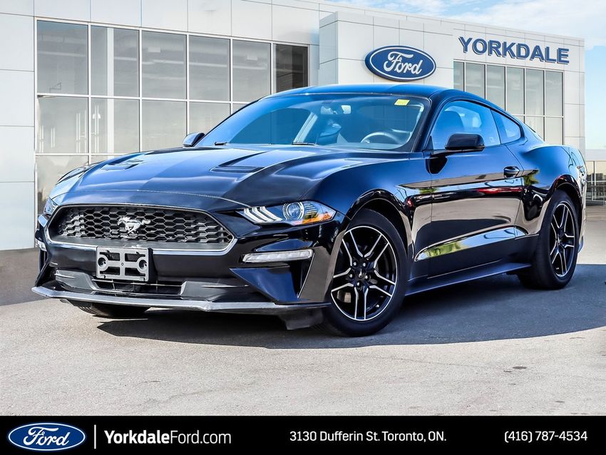 2019 Ford Mustang