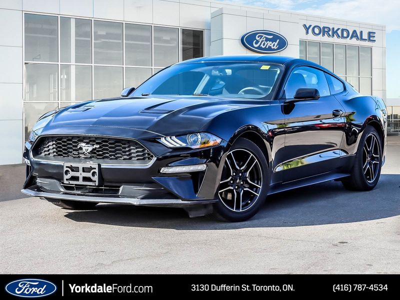 2019 Ford Mustang