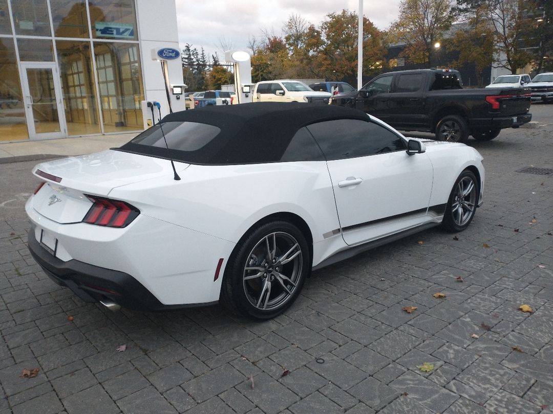 new 2024 Ford Mustang car, priced at $46,425