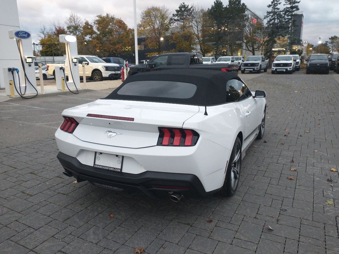 new 2024 Ford Mustang car, priced at $46,425