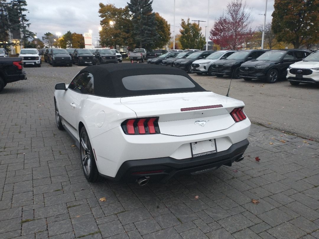 new 2024 Ford Mustang car, priced at $46,425