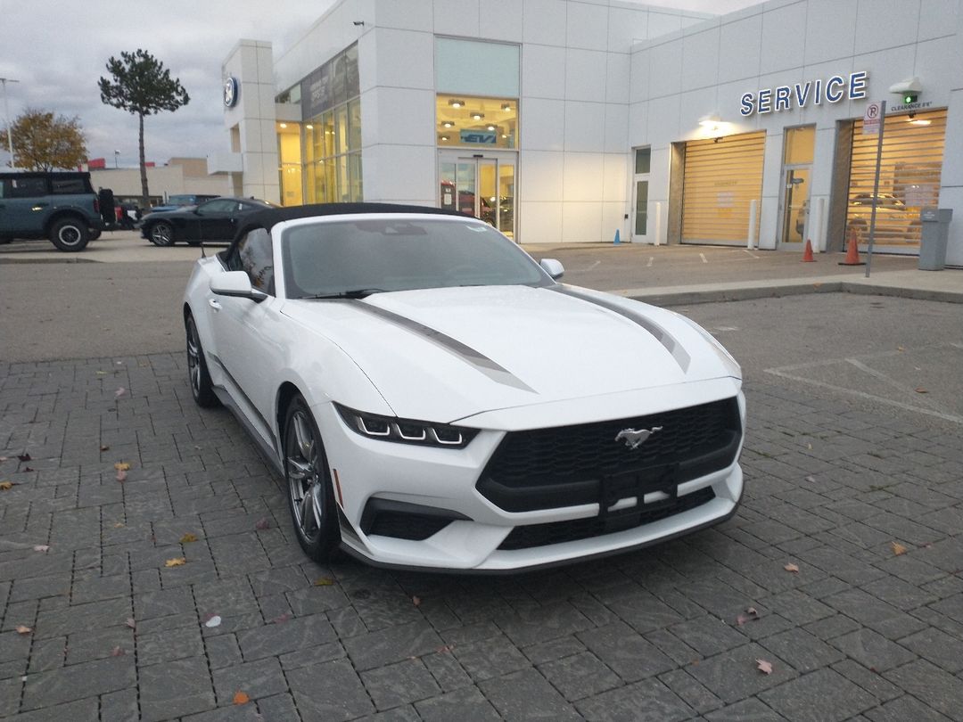 new 2024 Ford Mustang car, priced at $46,425