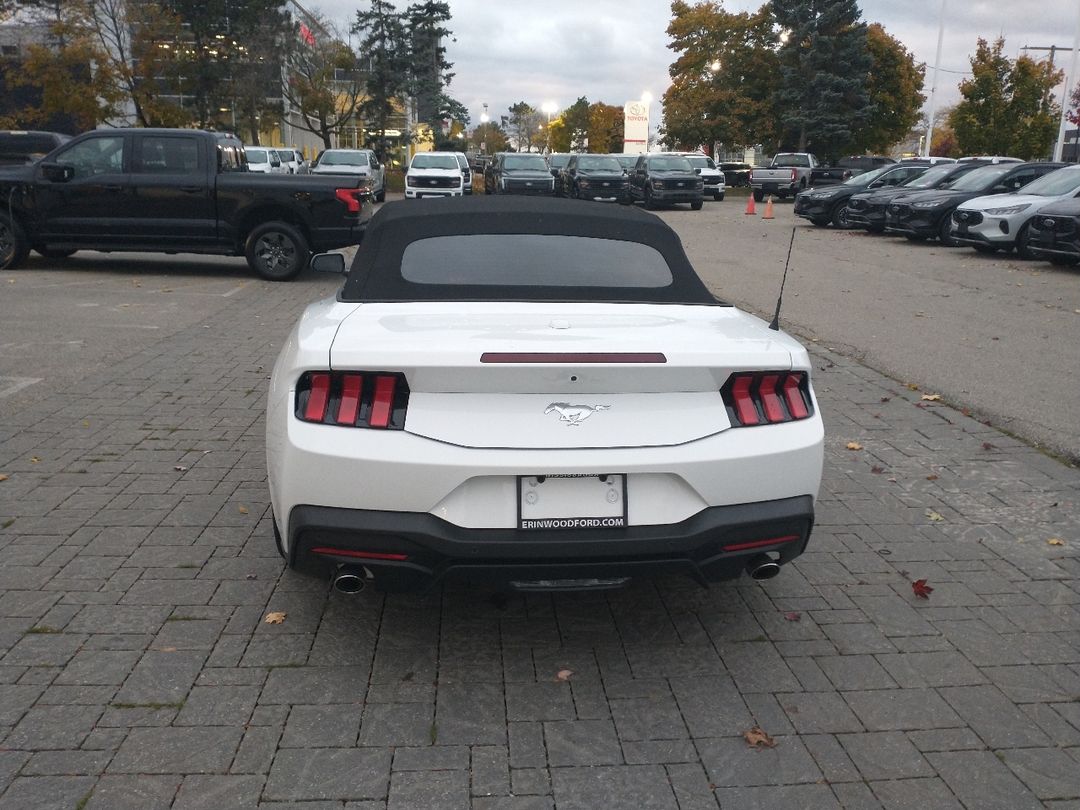 new 2024 Ford Mustang car, priced at $46,425