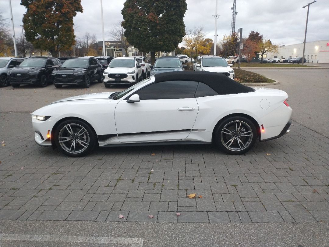 new 2024 Ford Mustang car, priced at $46,425