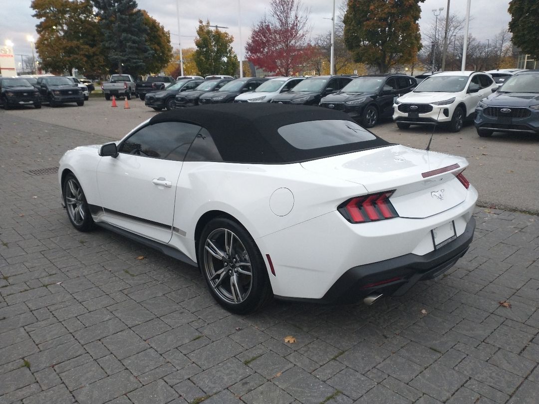 new 2024 Ford Mustang car, priced at $46,425