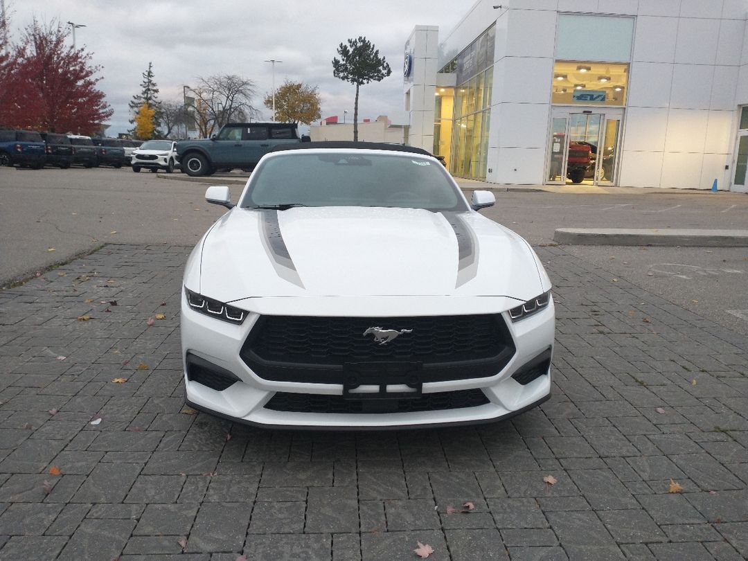 new 2024 Ford Mustang car, priced at $46,425