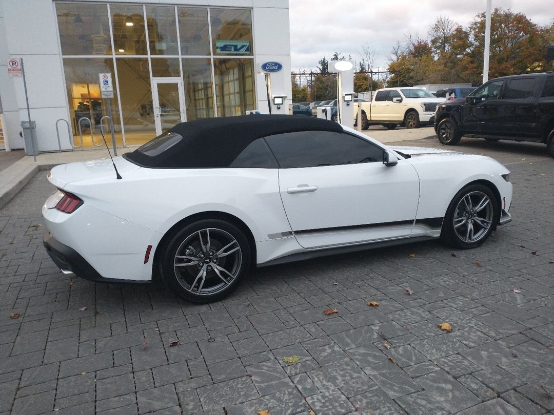 new 2024 Ford Mustang car, priced at $46,425