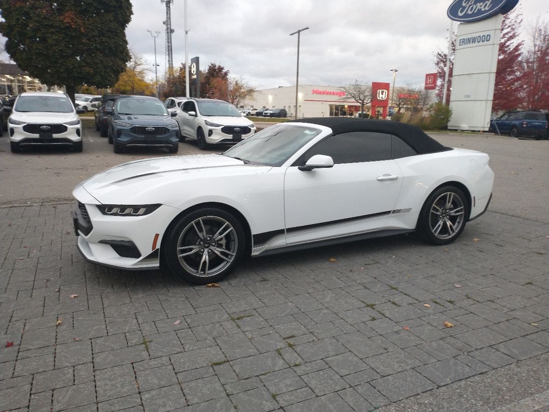 new 2024 Ford Mustang car, priced at $46,425