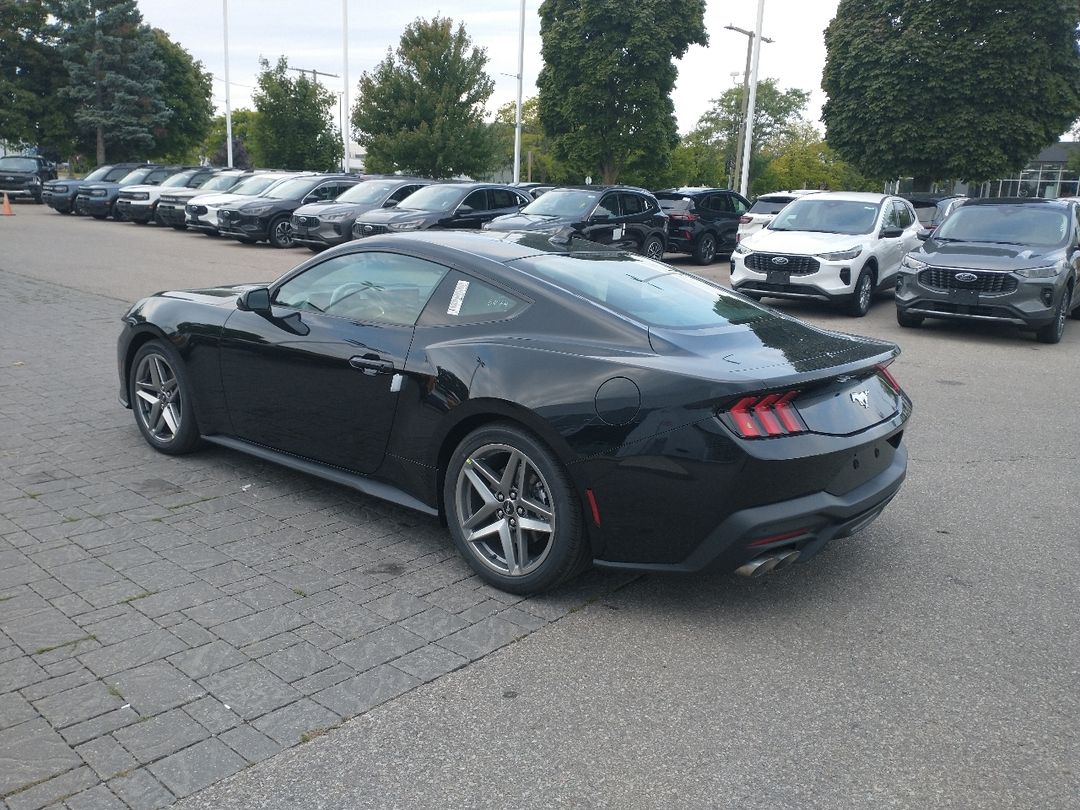 new 2024 Ford Mustang car, priced at $45,170