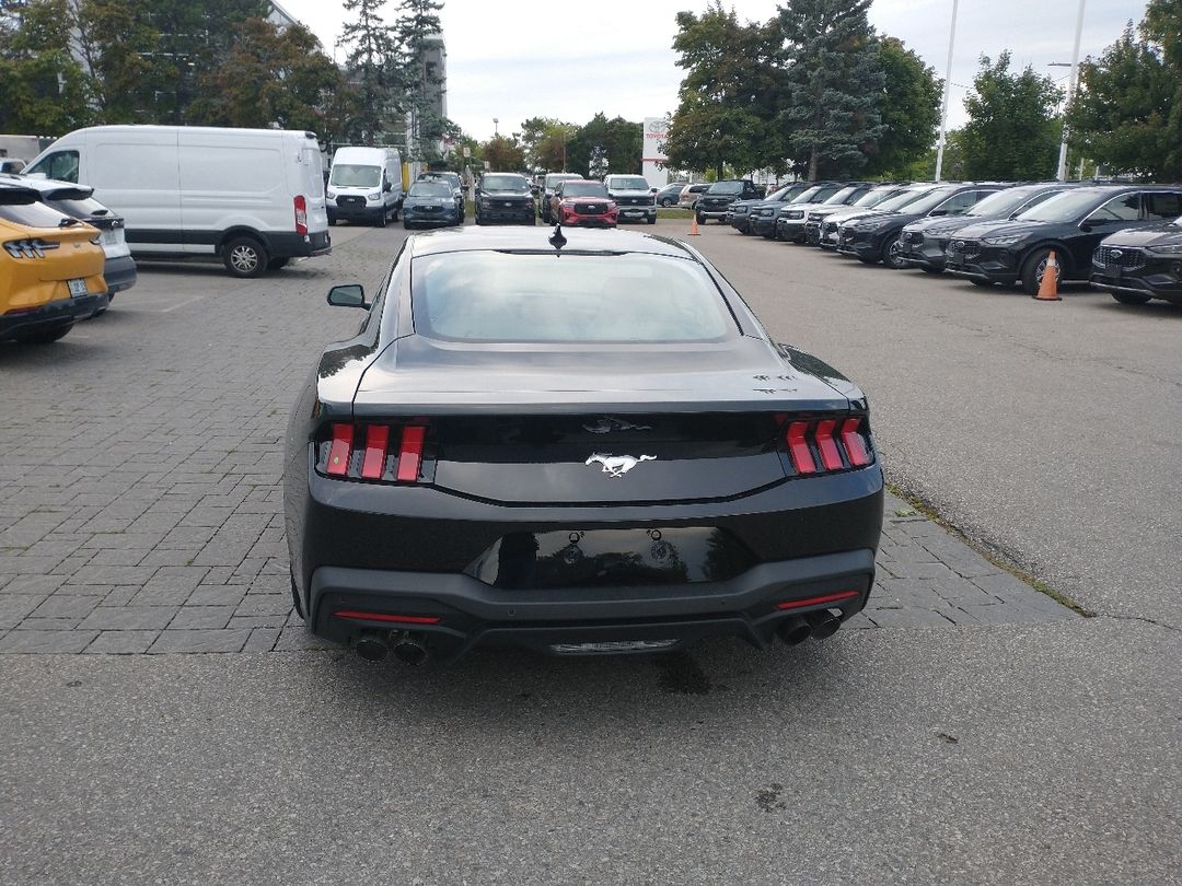 new 2024 Ford Mustang car, priced at $45,170