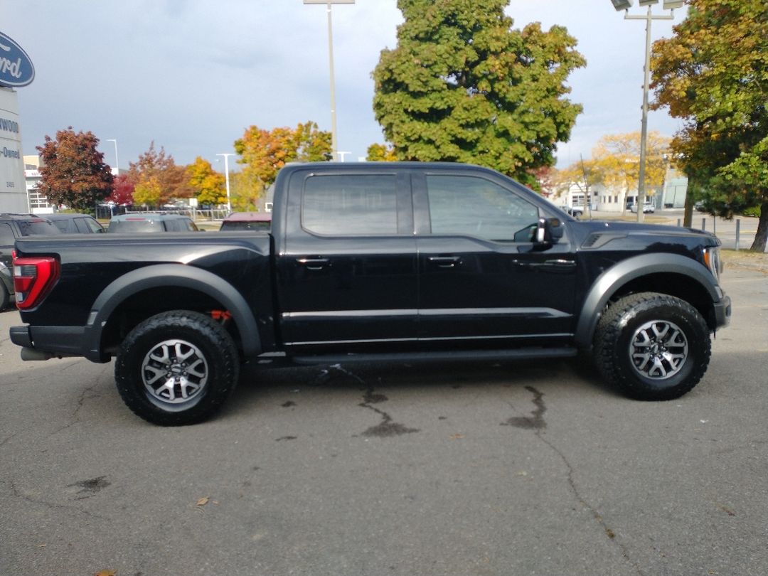 used 2021 Ford F-150 car, priced at $75,998