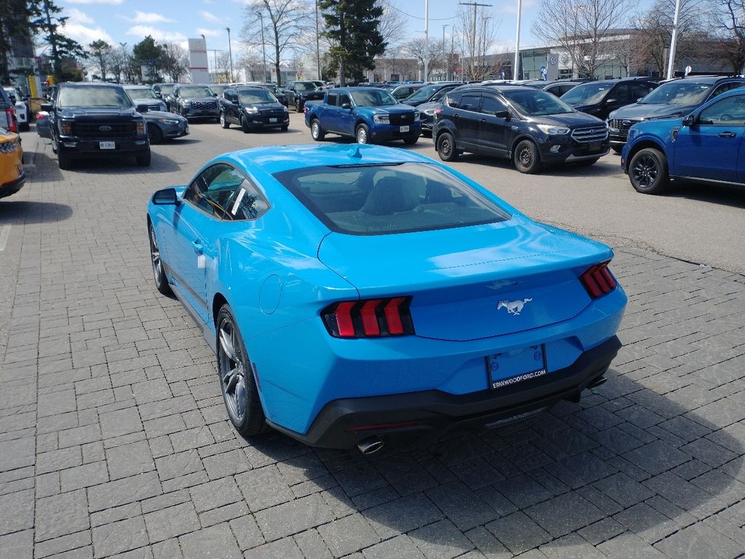 new 2025 Ford Mustang car, priced at $43,670