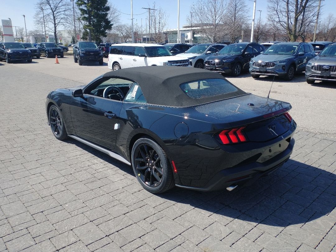 new 2025 Ford Mustang car, priced at $55,875