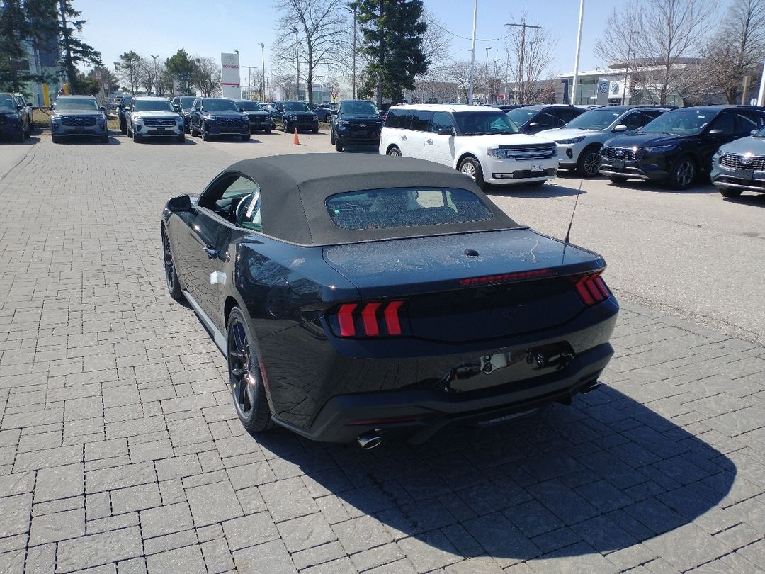 new 2025 Ford Mustang car, priced at $55,875