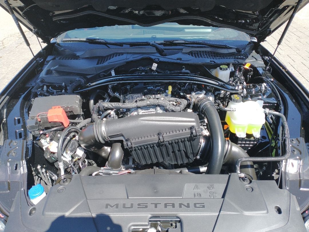 new 2025 Ford Mustang car, priced at $55,875